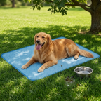 Selbstkühlende Kühlmatte für Hunde und Katzen