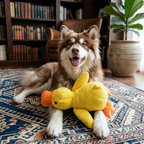 Weiches Plüsch-Hundespielzeug – Robuste Ente mit Kord-Struktur