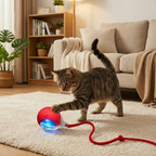 Interaktiver Katzenball