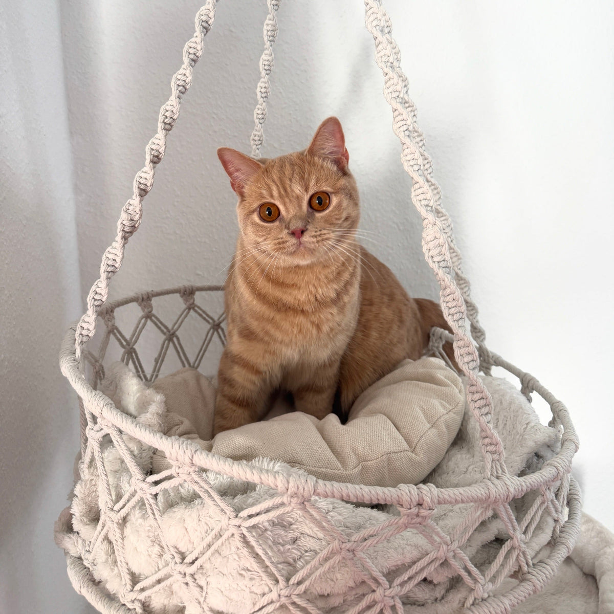 Makramee Katzen-Hängebett
