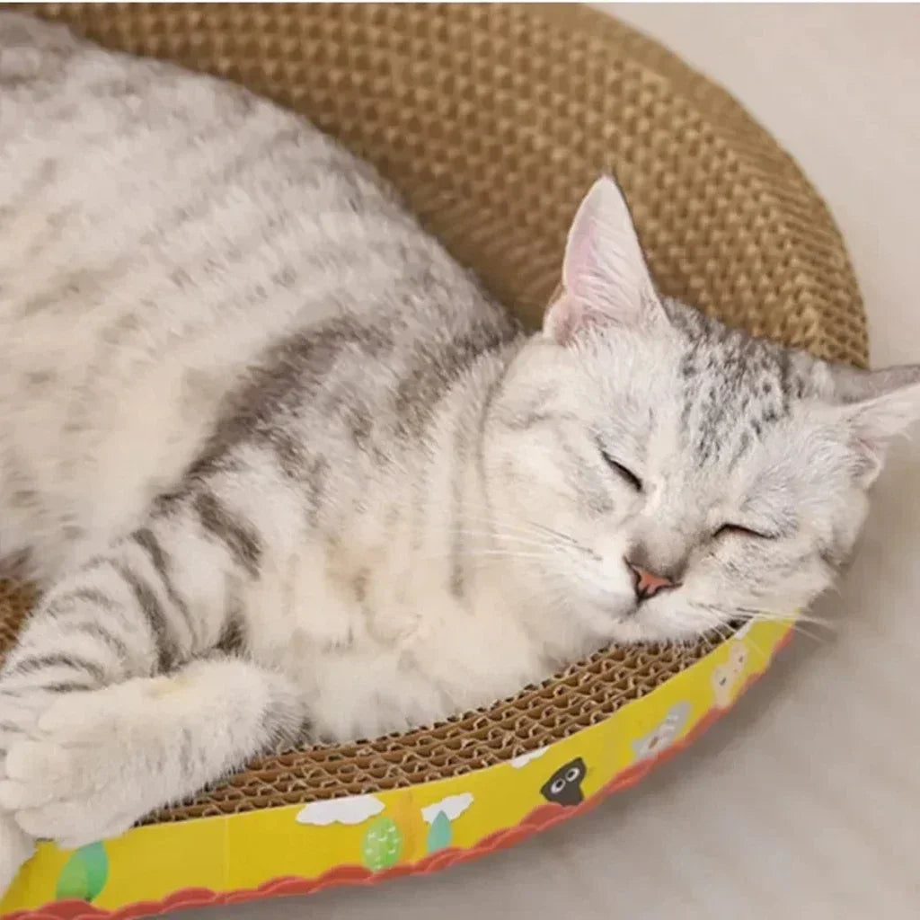 Katzen Kratzbett