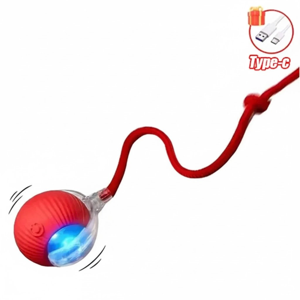 Katzenspielzeug Interaktiv