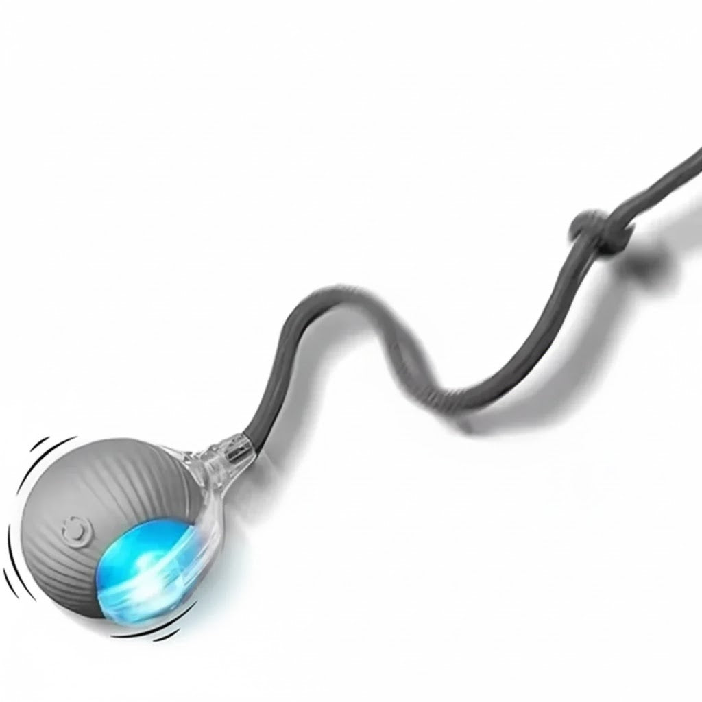 Katzenspielzeug Interaktiv